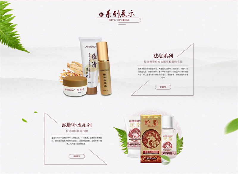化妝護膚品網(wǎng)站建設制作開(kāi)發(fā)案例